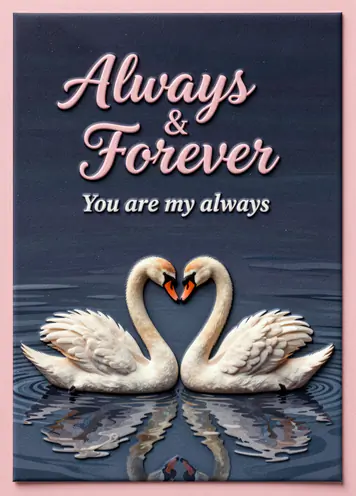 Swans In Love, love card cover