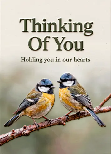 Warm Embrace of Memory, sympathy card cover